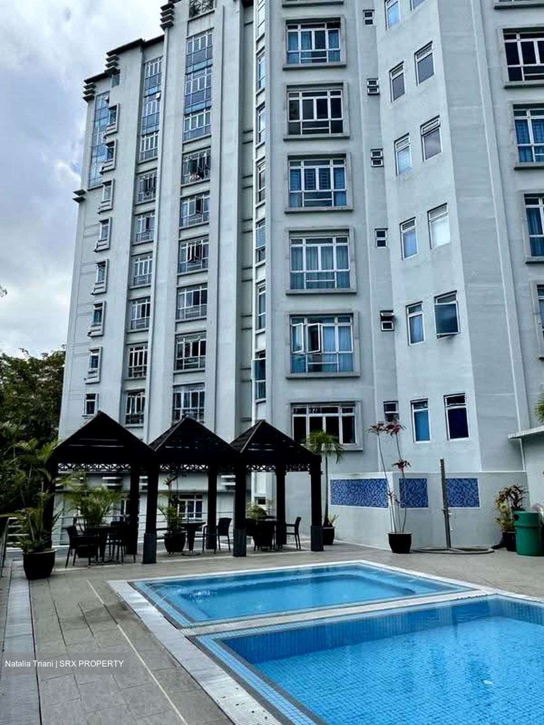 Leedon 2 (D10), Condominium #610575821